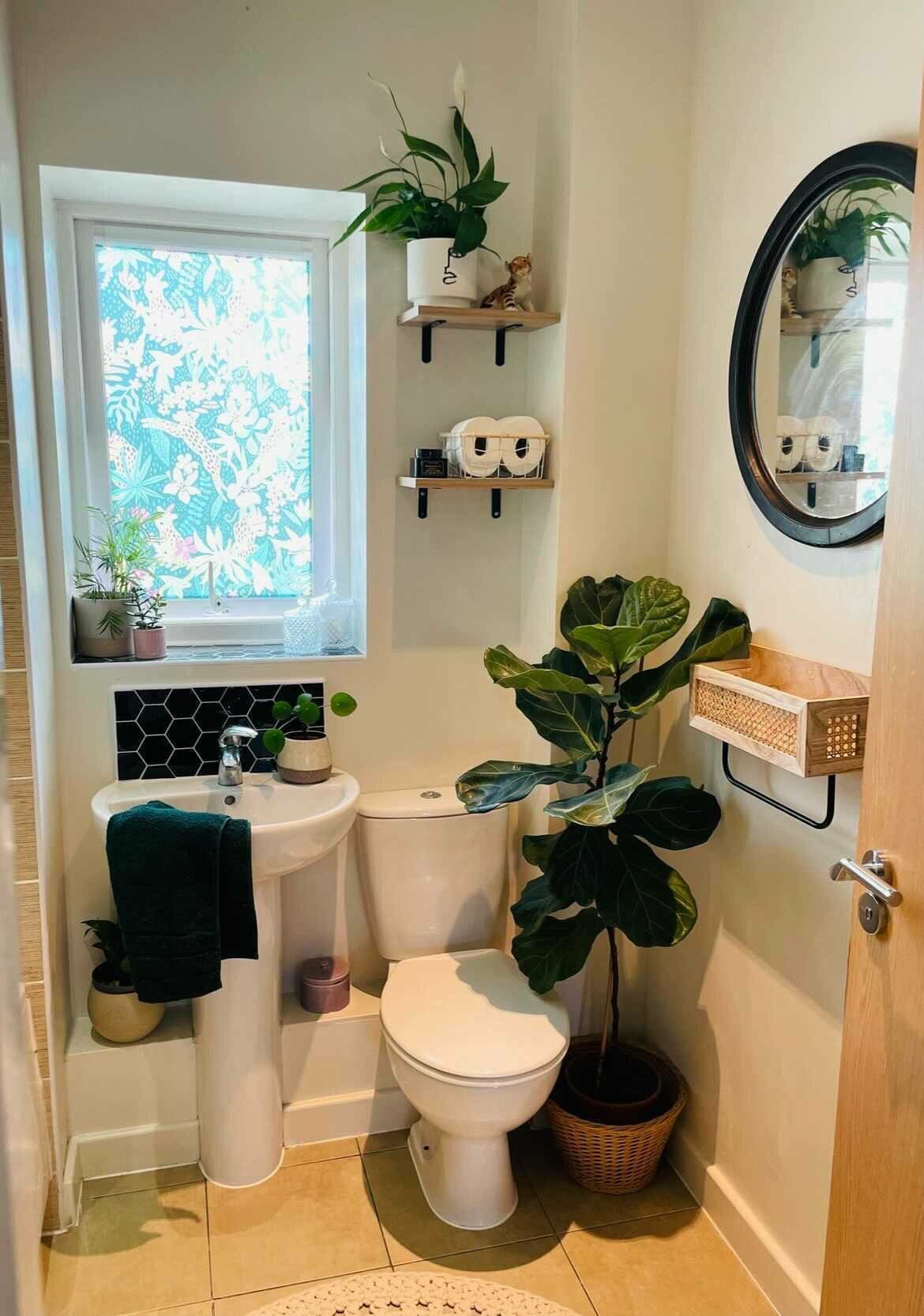 Jungle Printed Window Film