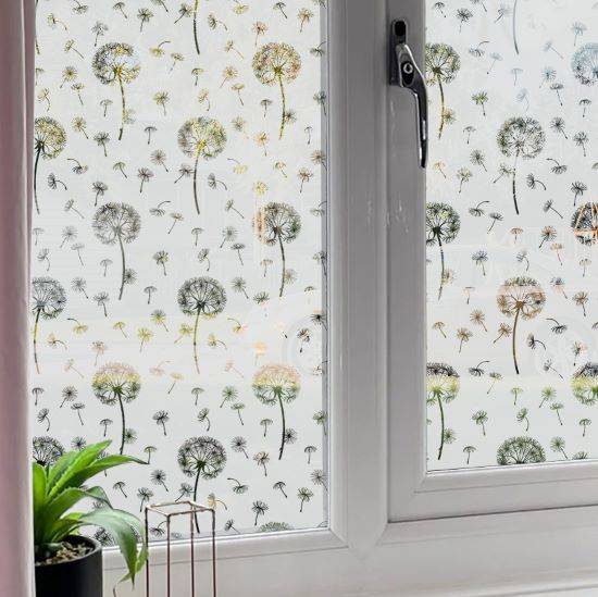 dandelion seed frosted window film installed onto a window