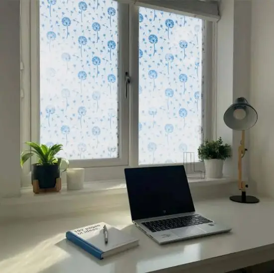 Dandelion window film, spring privacy window film installed onto an office window