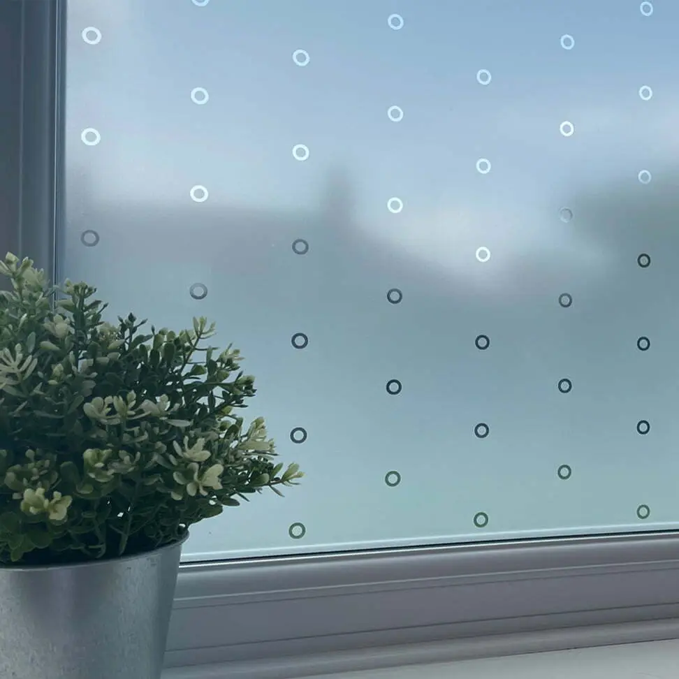 Rawlings Patterned Window Film